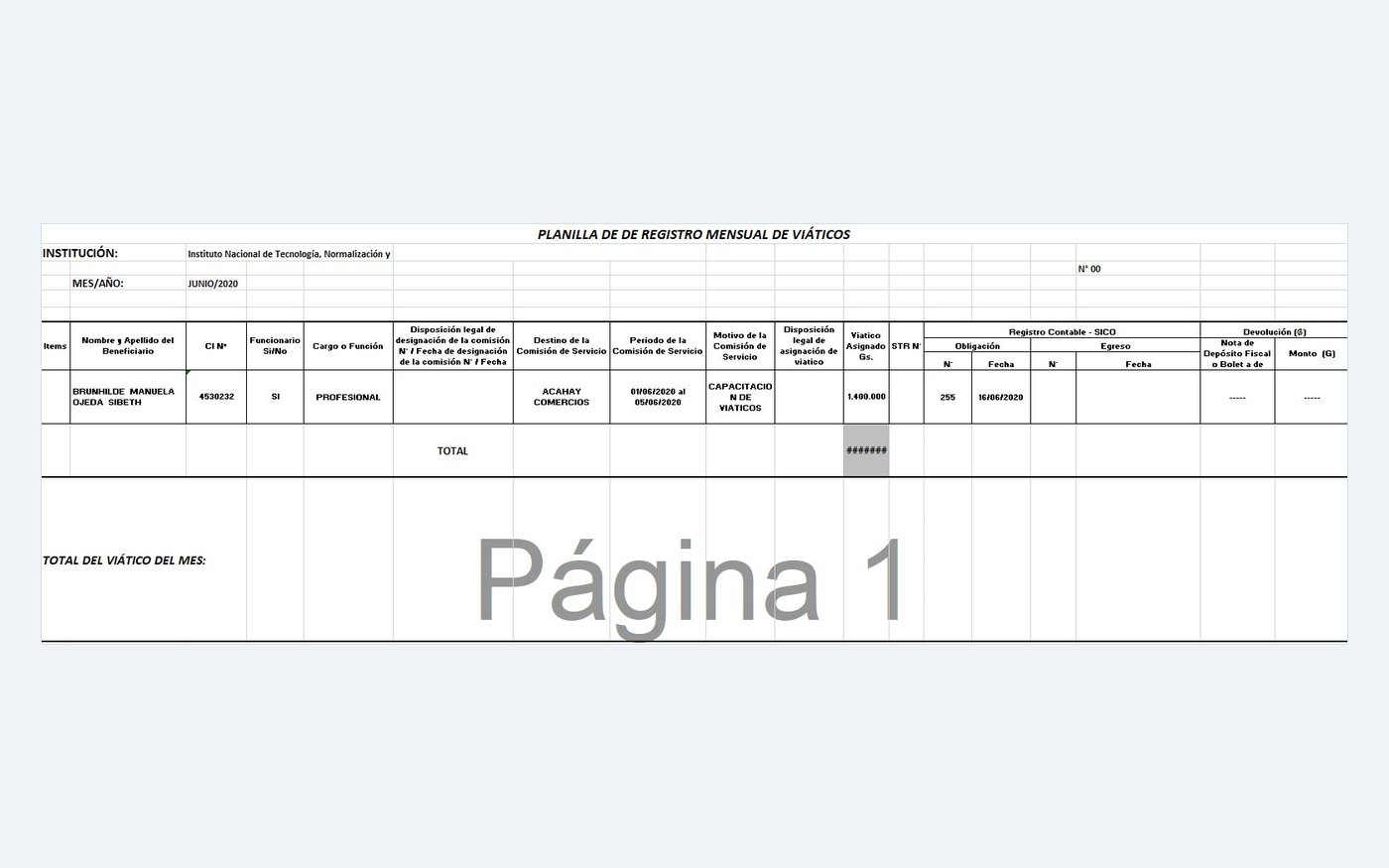 Planilla de registro mensual de viáticos